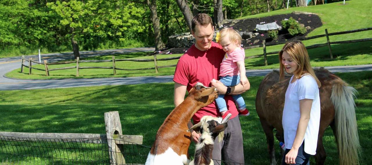 Mount Joy Rocky Acre Farm Bed & Breakfast מראה חיצוני תמונה
